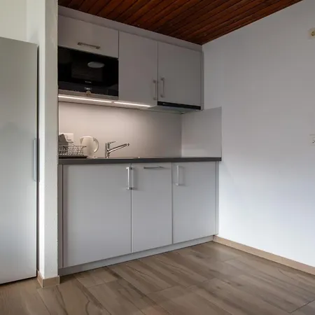 Appartementhaus Zurschmitten 10 By Interhome * Riederalp