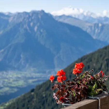 Zurschmitten 10 2- Ug Sued By Interhome