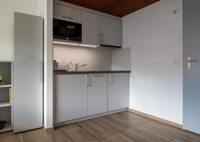 Zurschmitten 10 2- Ug Sued By Interhome * Riederalp